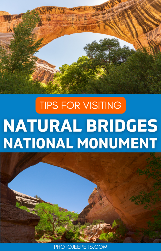 tips for visiting Natural Bridges National Monument