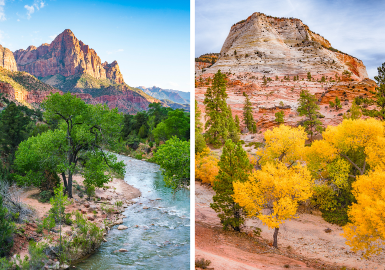 Best Month to Visit Zion National Park