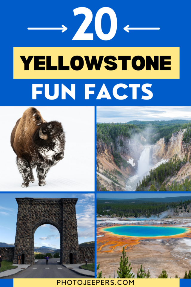 20 Yellowstone Fun Facts