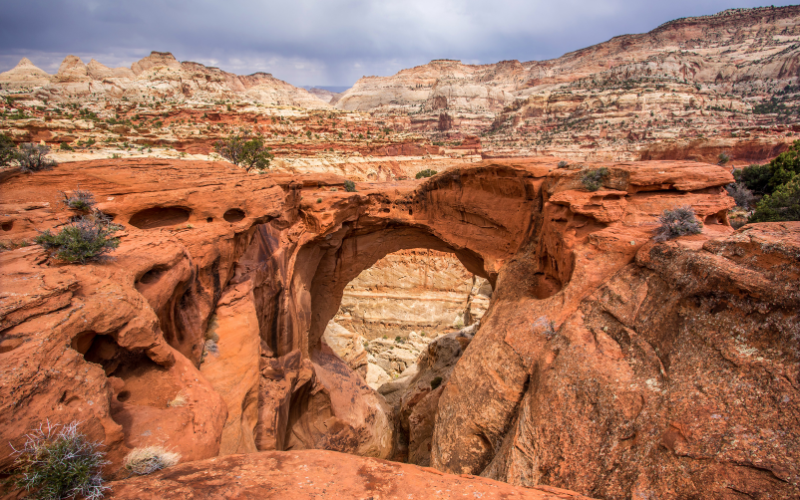 Cassidy Arch at Capitol Reef 