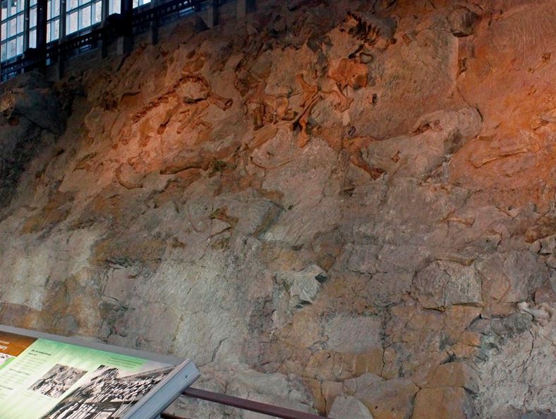 Dinosaur quarry exhibit