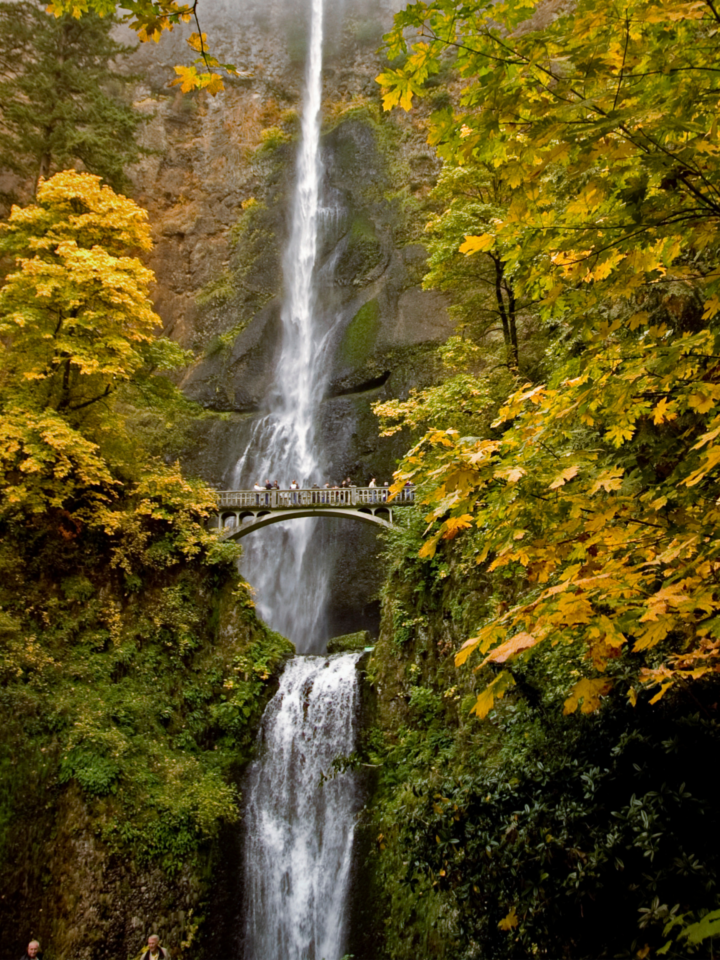 Multnomah Falls in the fall