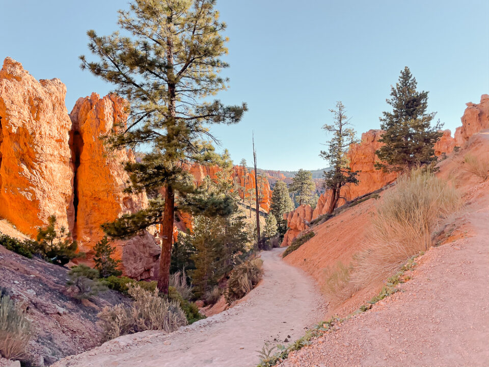 Peekaboo Loop trail at Bryce Canyon