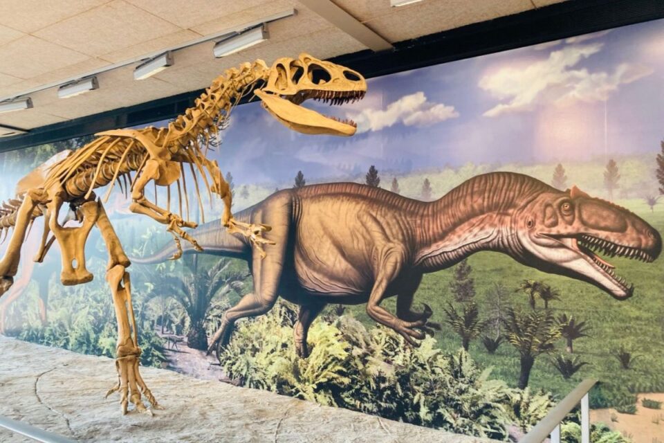 Quarry Exhibit Hall at Dinosaur National Monument