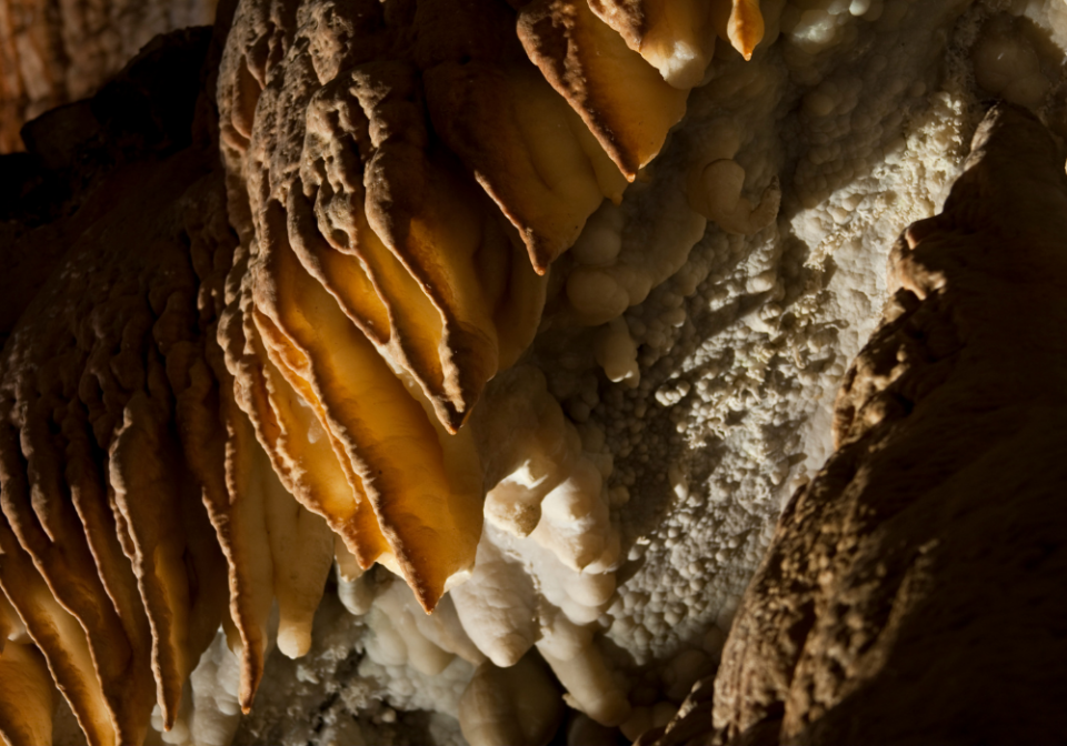 Timpanogos Cave stalactite