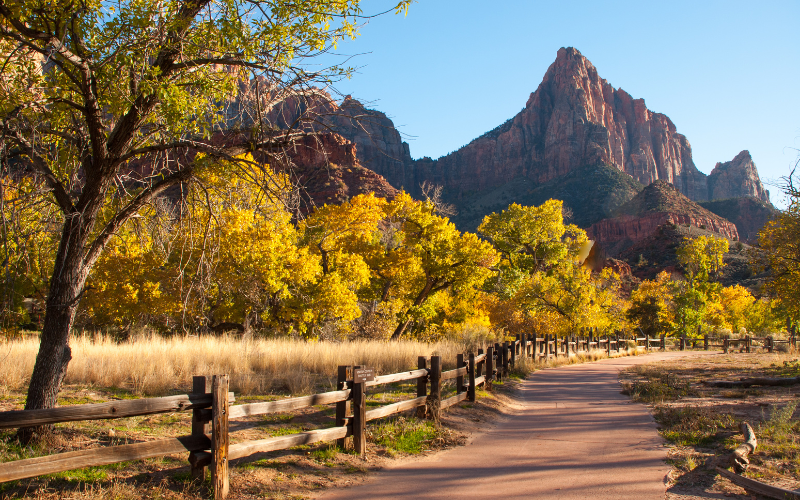 Zion-Parus-Trail-in-the-fall