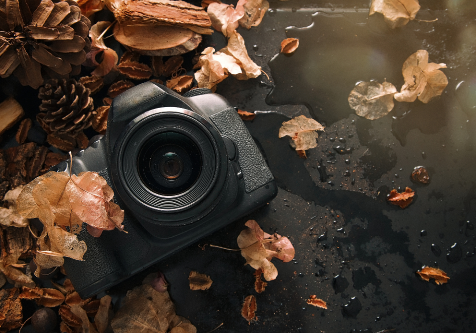 camera with fall leaves