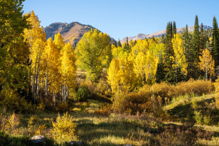 Things To Do in the Fall in Utah