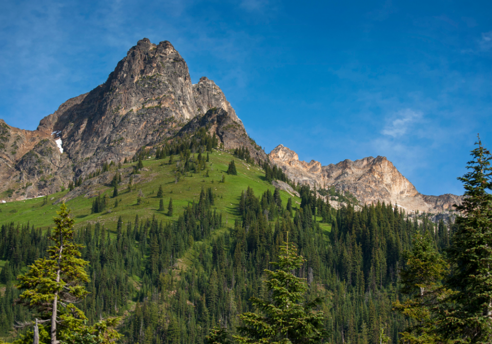 view from North Cascades Highway