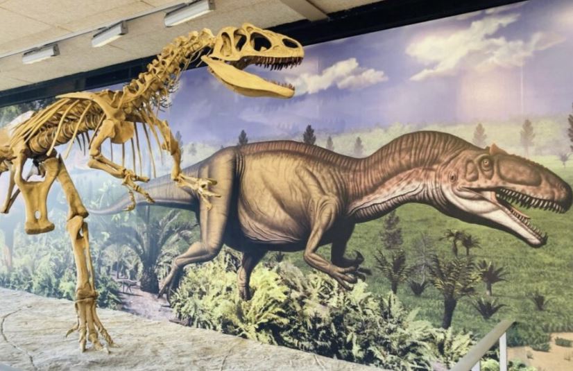 Dinosaur National Monument exhibit