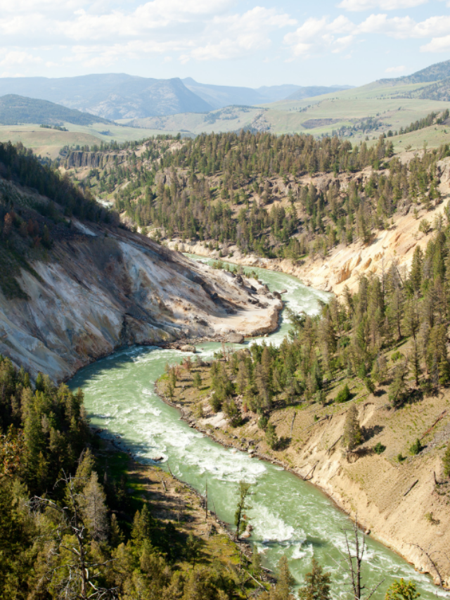 Yellowstone Day Hikes in Tower and Northeast Story
