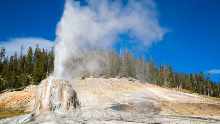 Visiting Yellowstone National Park With Kids