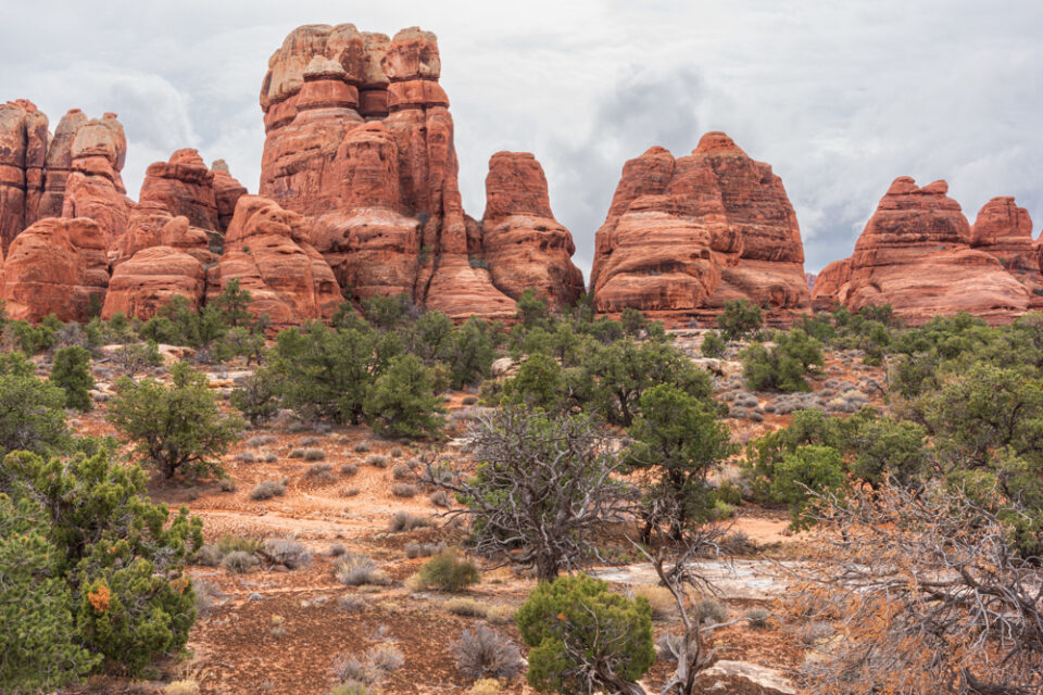 Needles rock formations