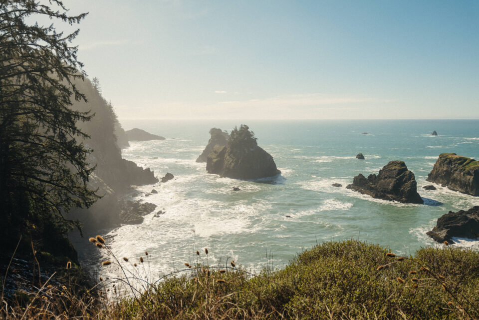 Views along the Oregon Coast