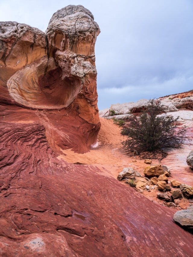 _DSC2200-Edit