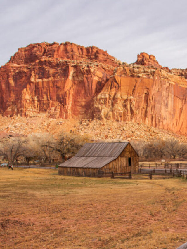 Capitol Reef National Park with Kids Story