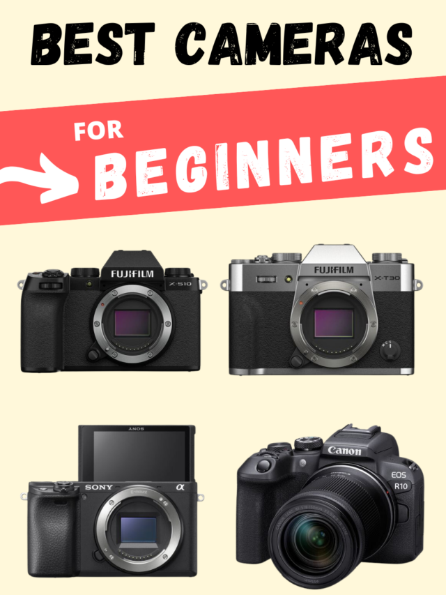 Best Cameras for Beginners Story