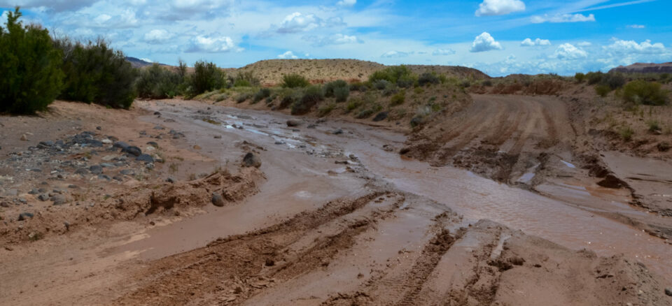muddy wash in Cathedral Valley