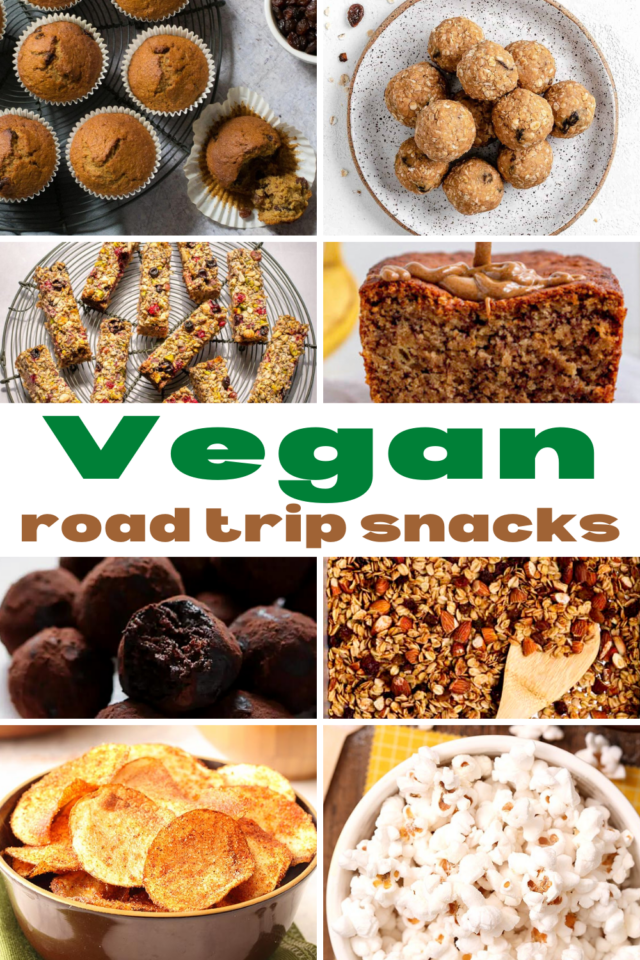 vegan road trip snacks