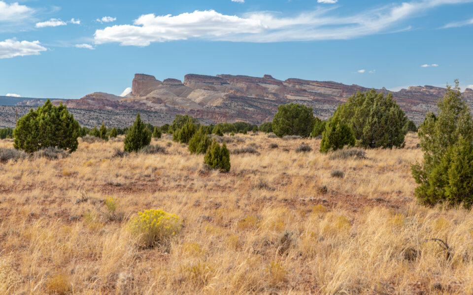 View of Capitol Reef from Burr Trail 