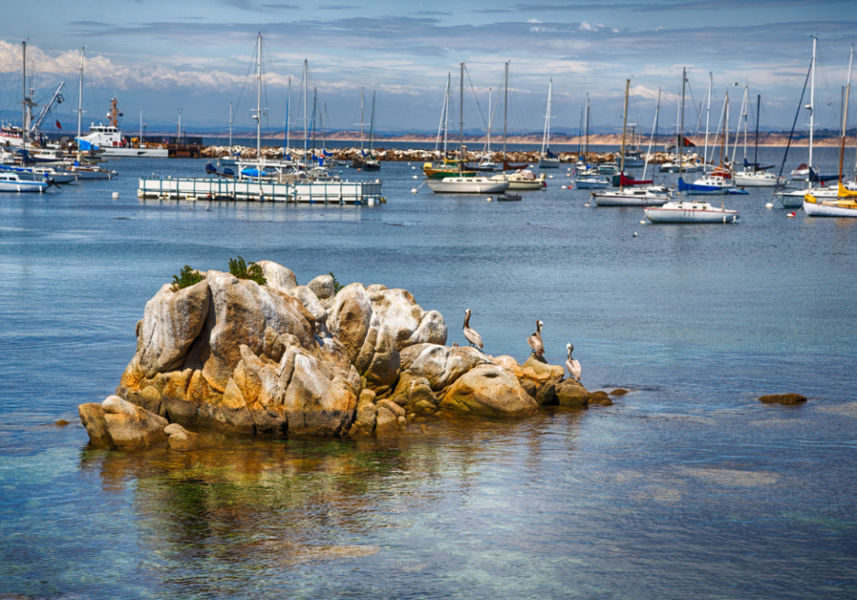 Monterey Bay Northern California Vacation Idea