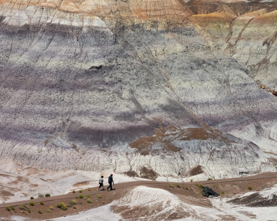 Hiking through Petrified Forest National Park