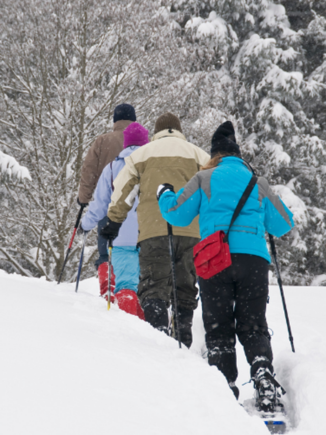 3-people-snowshoeing