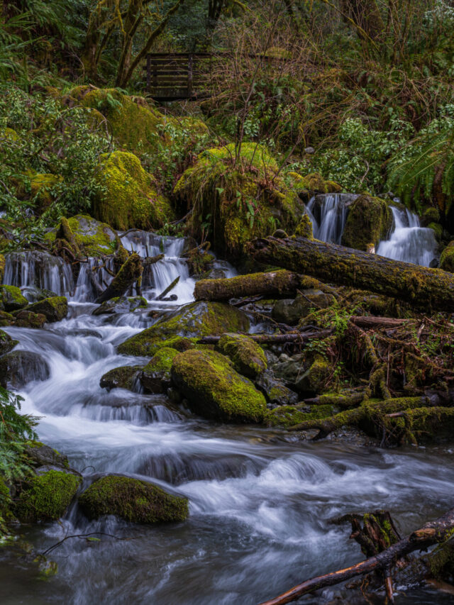 _DSC0699