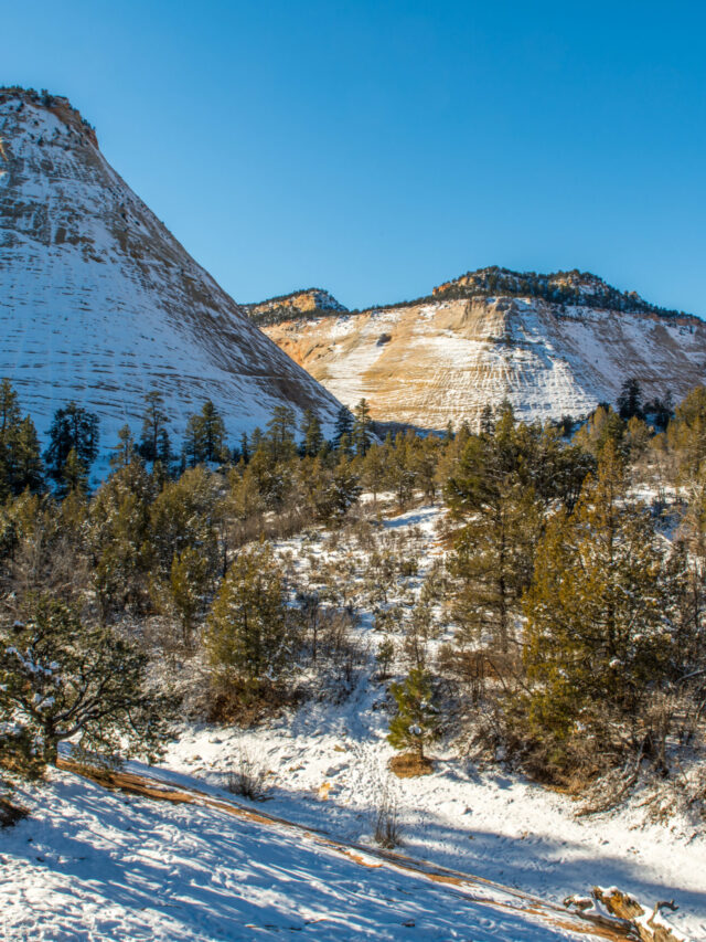 _DSC1192 (1)
