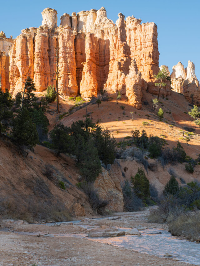 _DSC3874-Edit