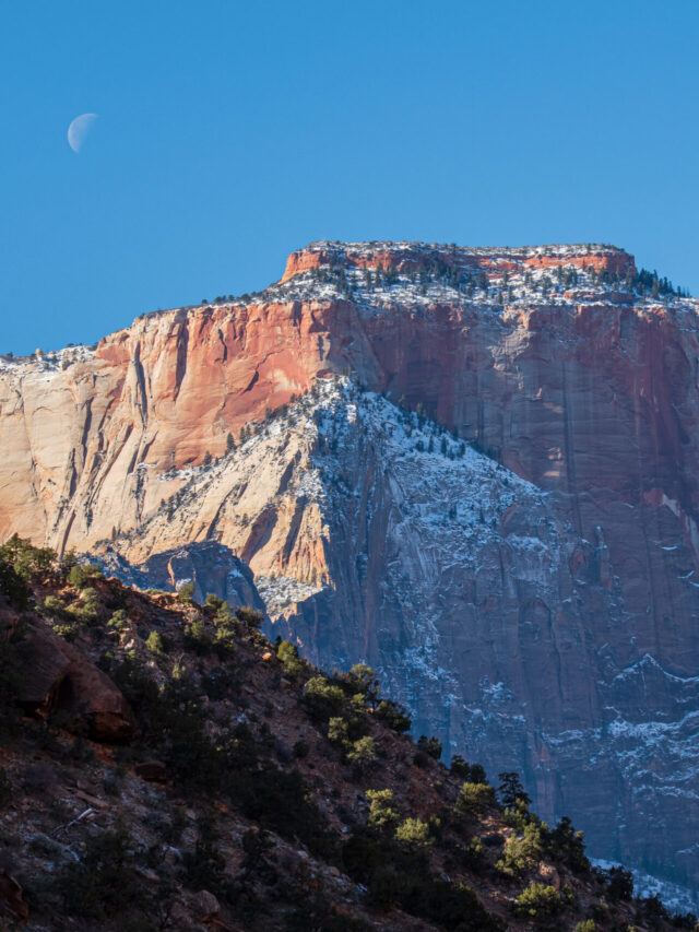 Winter Photos of Zion National Park Story