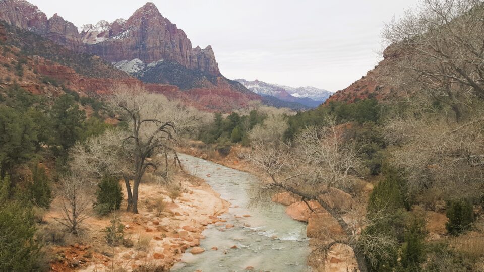 Zion National Park in the spring