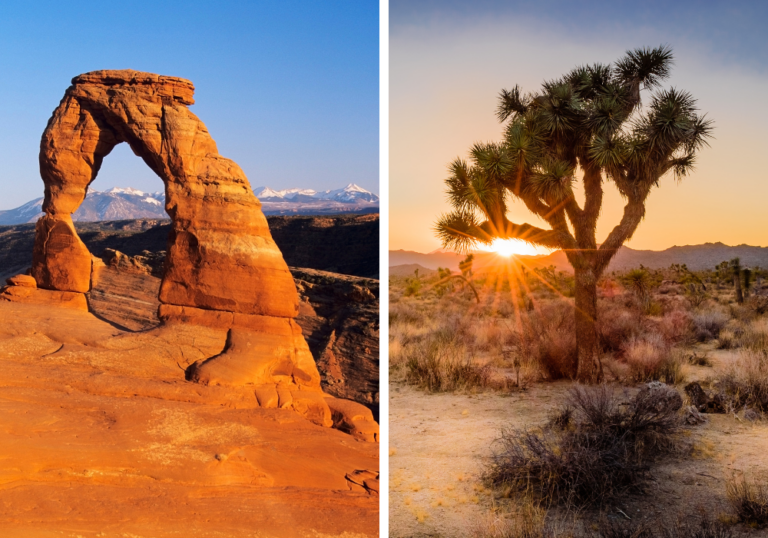US Southwest National Parks in March