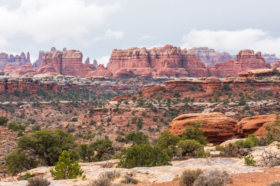 Needles formations at Canyonlands by Photo Jeepers