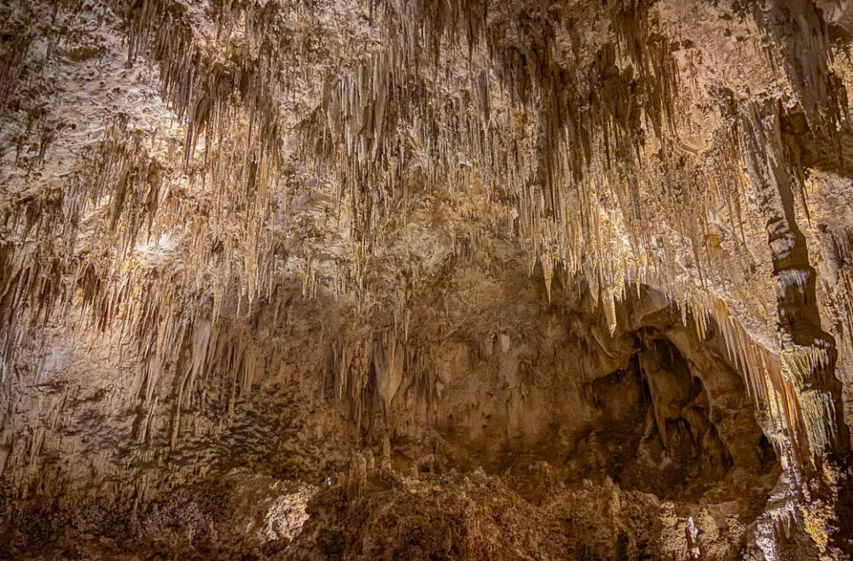 Carlsbad Cavern National Park