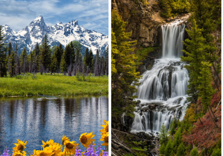Best Time to Visit Grand Teton and Yellowstone National Parks