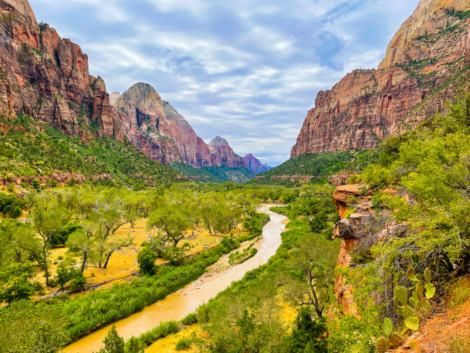Zion National Park ins the spring