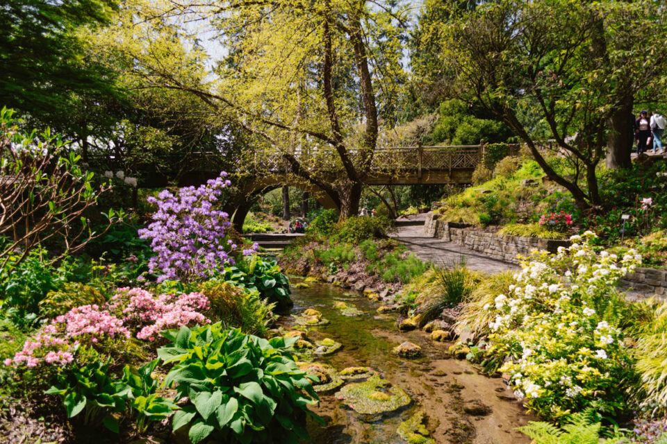 Portland Oregon garden