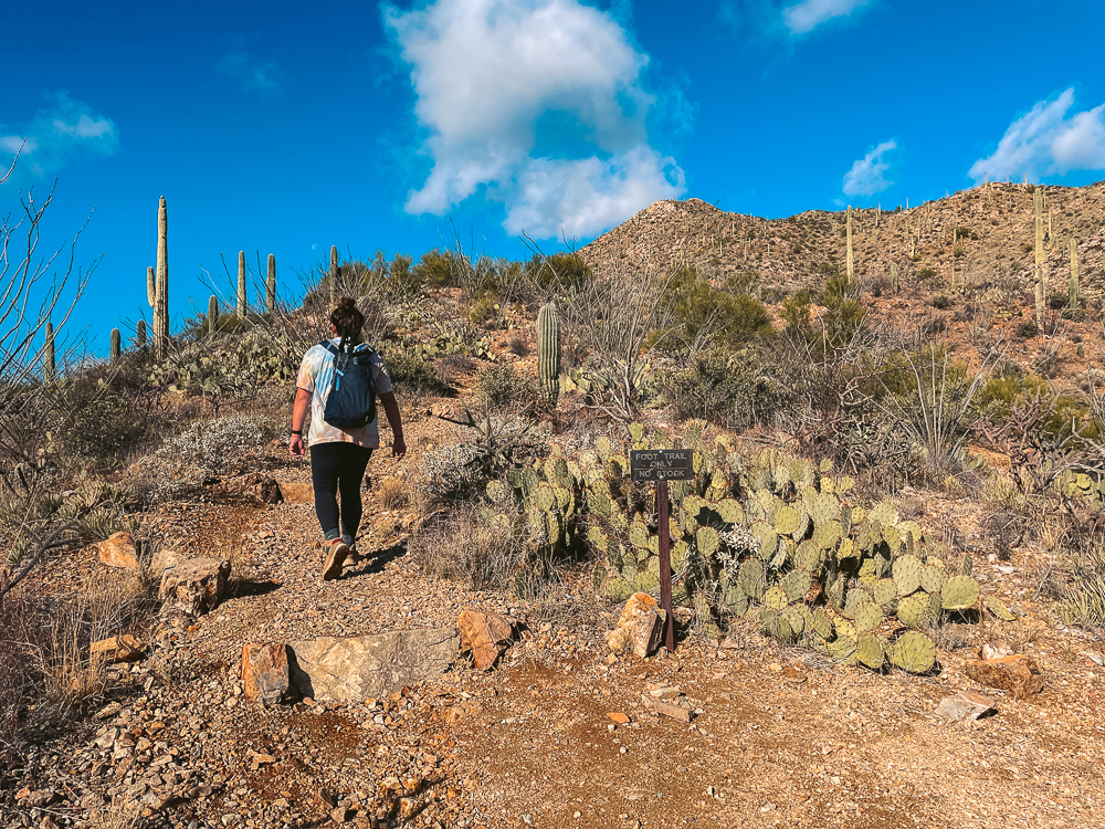 US Southwest National Parks in May - PhotoJeepers