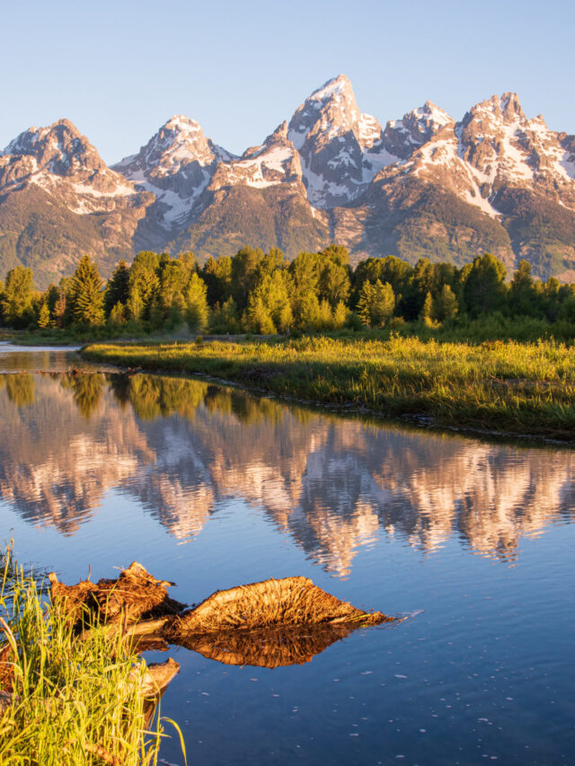 Plan a Vacation to Grand Teton in May Story