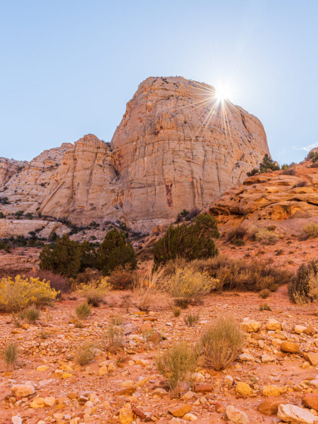 Plan a Vacation to Capitol Reef in May Story