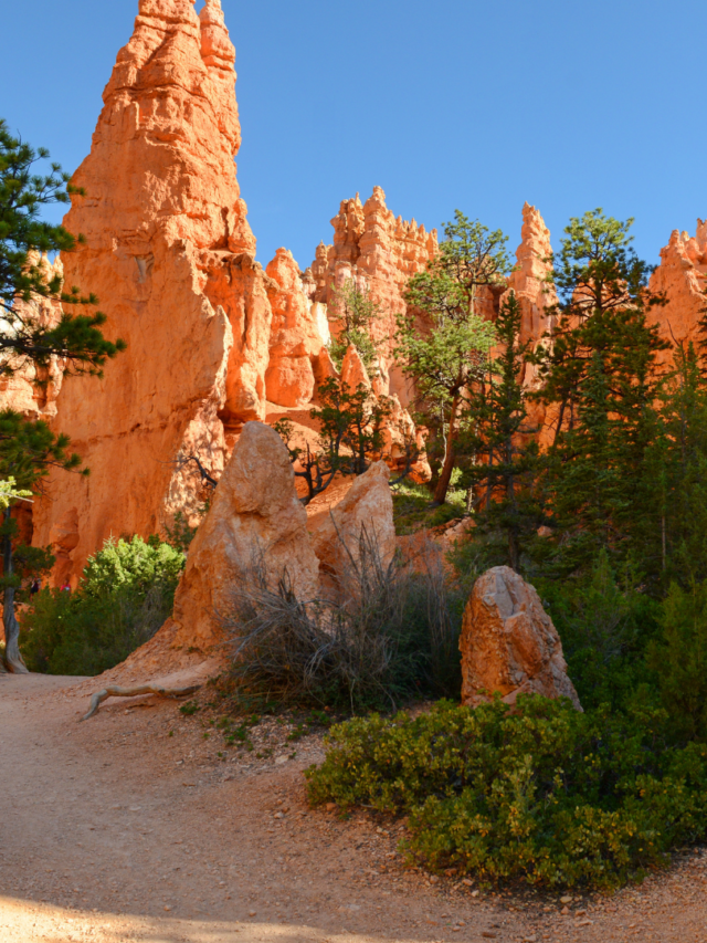 Plan a Vacation to Bryce Canyon in May Story