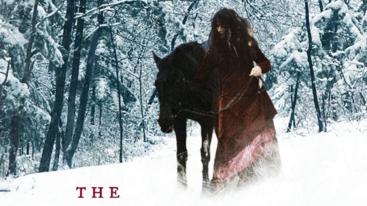 The Outlander by Gil Admson
